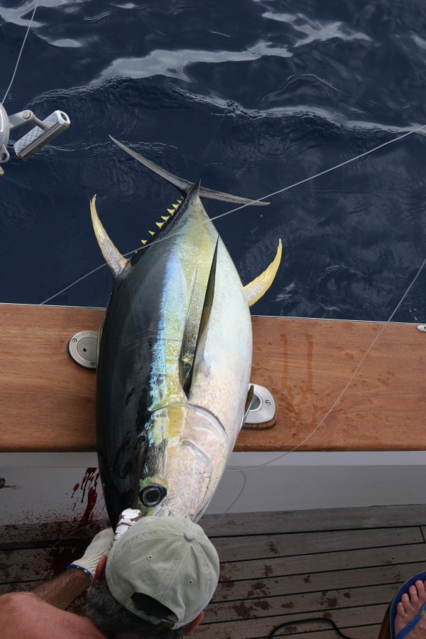 IMG_4887 IMG_4887