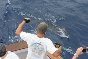 IMG_6136