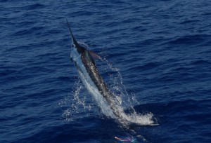 IMG_6168