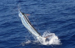 IMG_6169