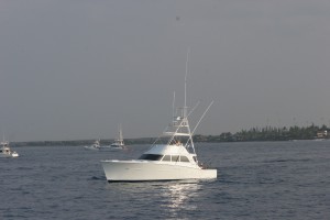 IMG_6526