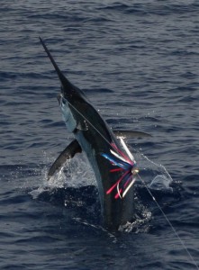 IMG_6573